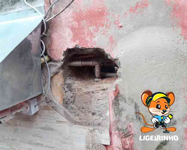 conserto de vazamento Ligeirinho