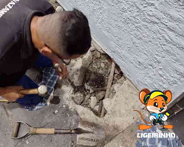 detecção de vazamento SP Ligeirinho
