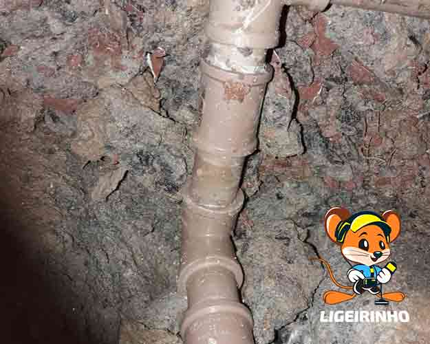 técnico especializado em reparo de vazamento de água