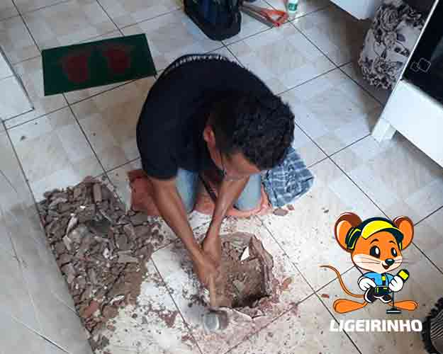 técnico experiente em detecção de vazamento Zona Norte