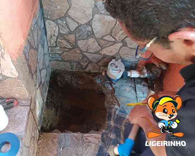 detecção especializada de vazamento de água