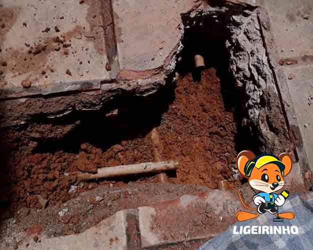 identificação profissional de vazamento de água Ipiranga