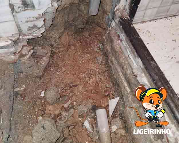 localização técnica de vazamento de água Ipiranga