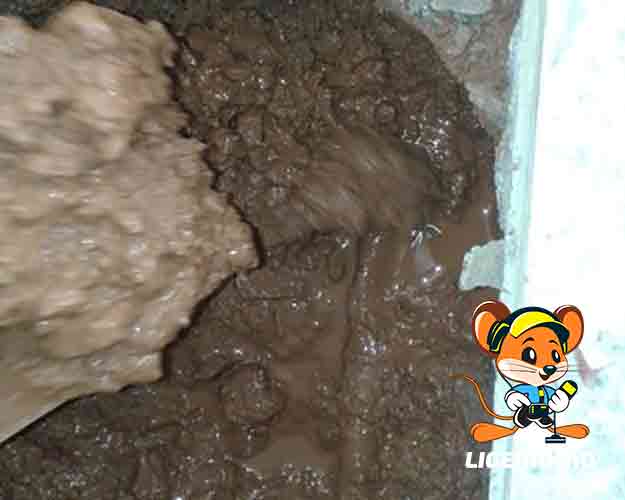 manutenção técnica de vazamentos Ligeirinho