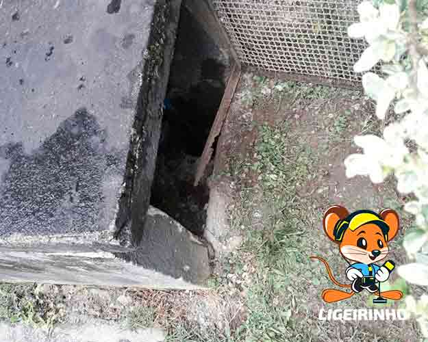 técnico experiente em detecção de vazamentos