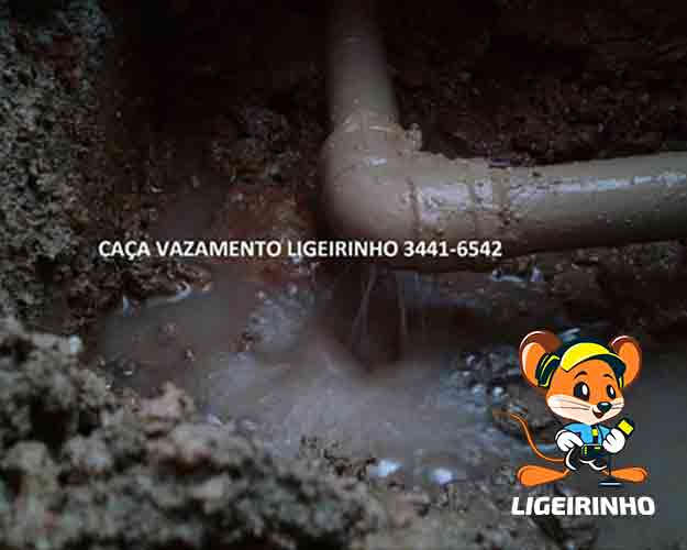 Conserto de vazamento profissional de água com laudo LG