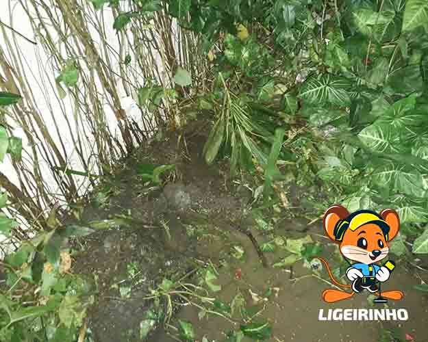 Detecção profissional de vazamento Osasco
