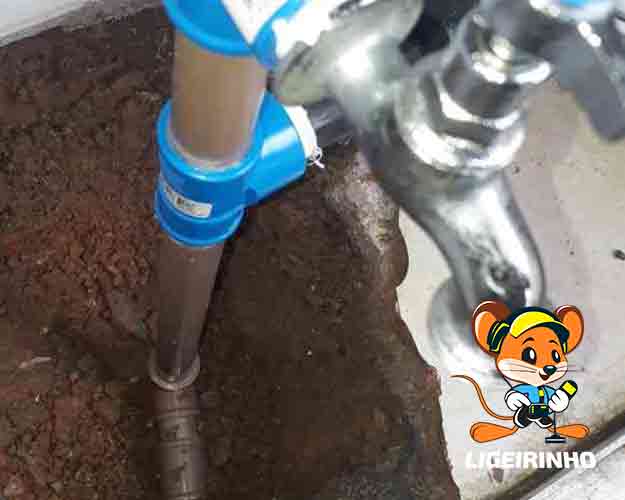 Serviço profissional de infiltração de água