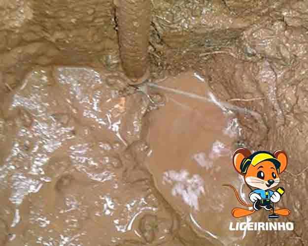 Técnico de infiltração de água Zona Sul