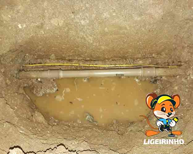 reparo de vazamento SP