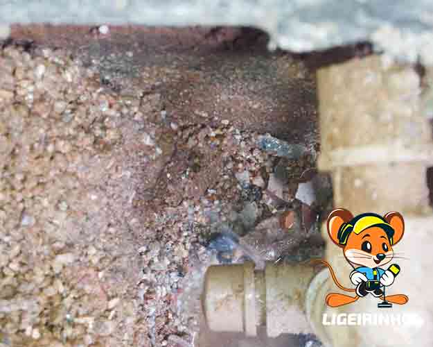 técnico experiente em detecção de vazamentos Ligeirinho