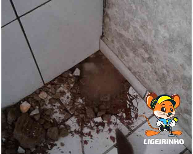 Caça vazamento conta elevada Sabesp