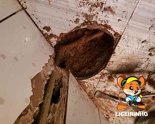 Conserto de Vazamento e Goteira na Sp Capital com Preço Justo