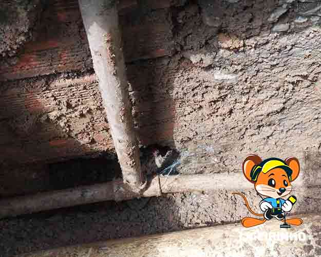 Caça Vazamento de Água com Encanador na Sp Centro com Preço Baixo