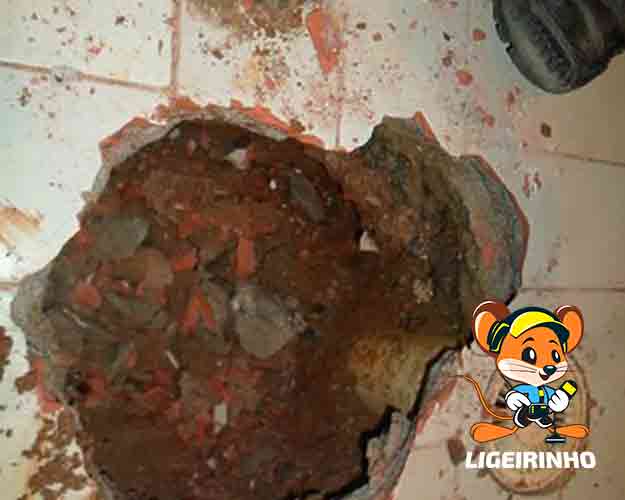 Infiltração e Vazamentos com Preço Inicial de R$149