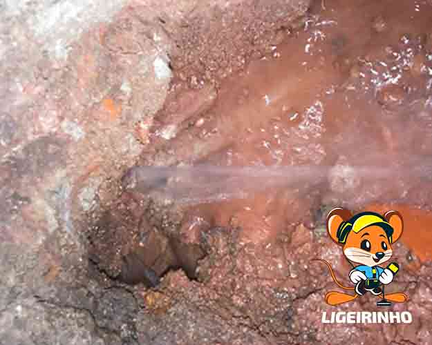 Detecção especializada de vazamento de água parque São Jorge