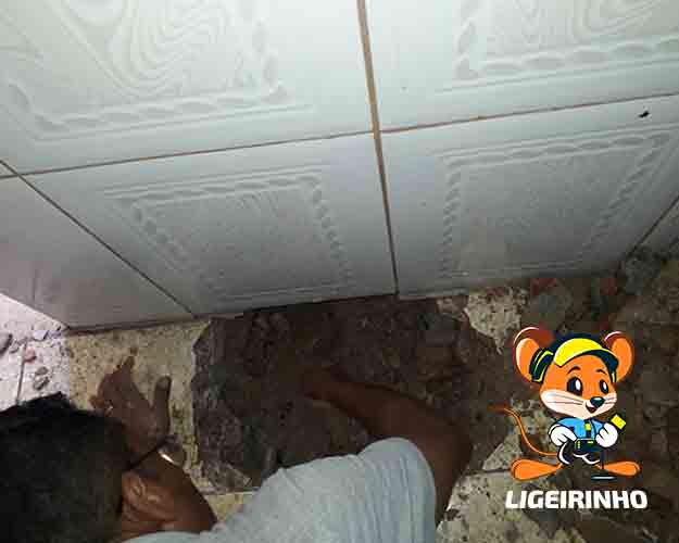 Detecção Profissional de Vazamento Água