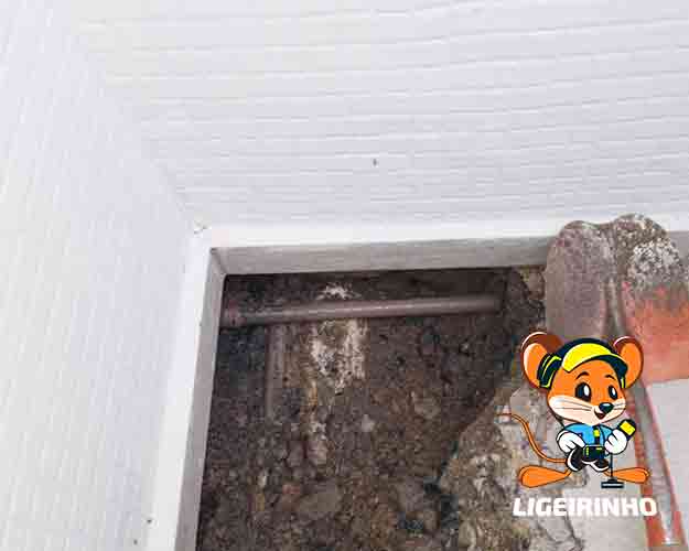 Detecção Técnica de Vazamento Ligeirinho