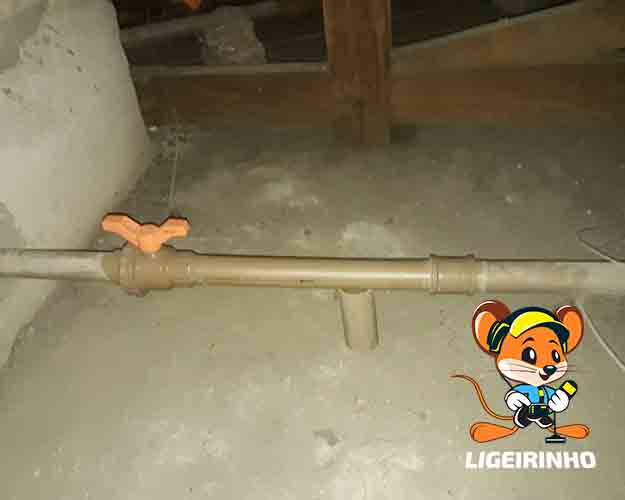 Infiltração Profissional de Vazamento Água