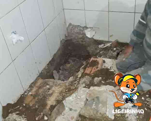 Manutenção Especializada de Vazamento