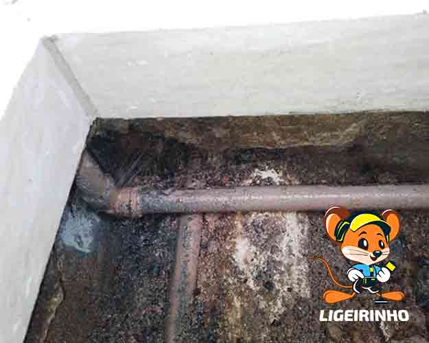 Serviços de Caça Vazamento Ligeirinho