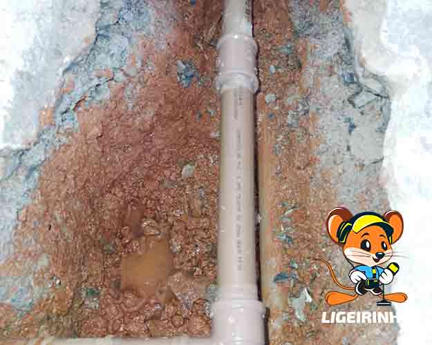 Serviços de Reparo de Vazamentos Ligeirinho