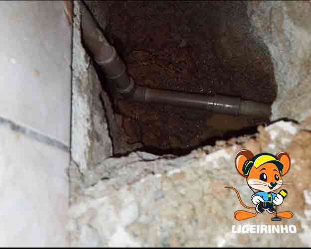 Serviços Profissional de Manutenção de Vazamento Zona Oeste