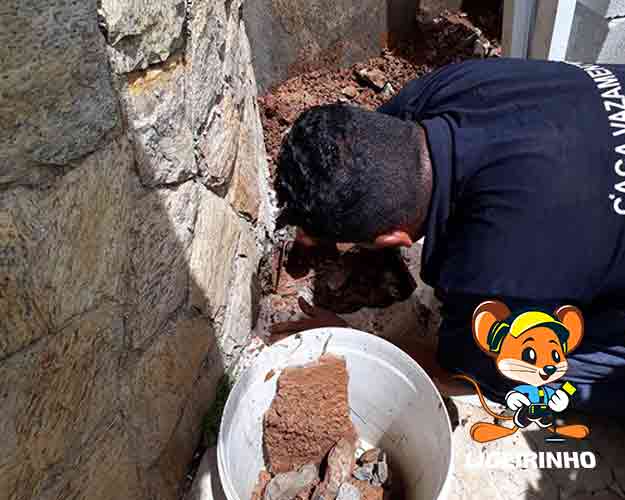 Técnico de Caça Vazamento Zona Oeste