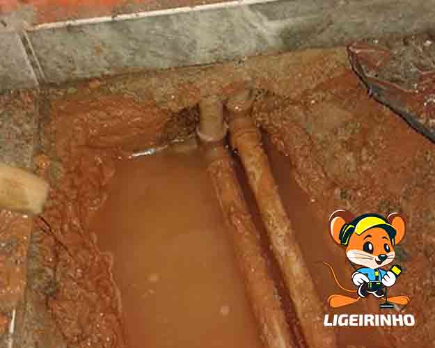 manutenção de vazamento SP Ligeirinho